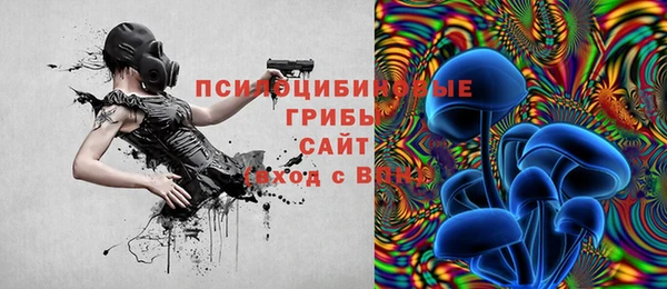 ГАЛЛЮЦИНОГЕННЫЕ ГРИБЫ Алексеевка