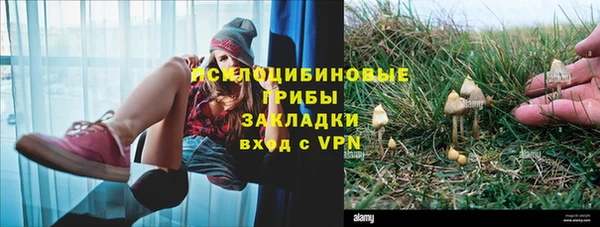 прущие крисы Абинск
