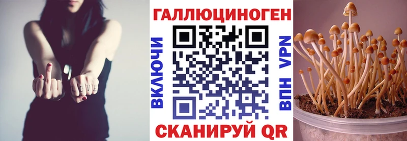 Галлюциногенные грибы Magic Shrooms  Североморск 