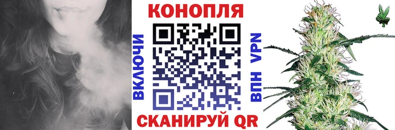 Шишки марихуана Bruce Banner цены наркотик Североморск